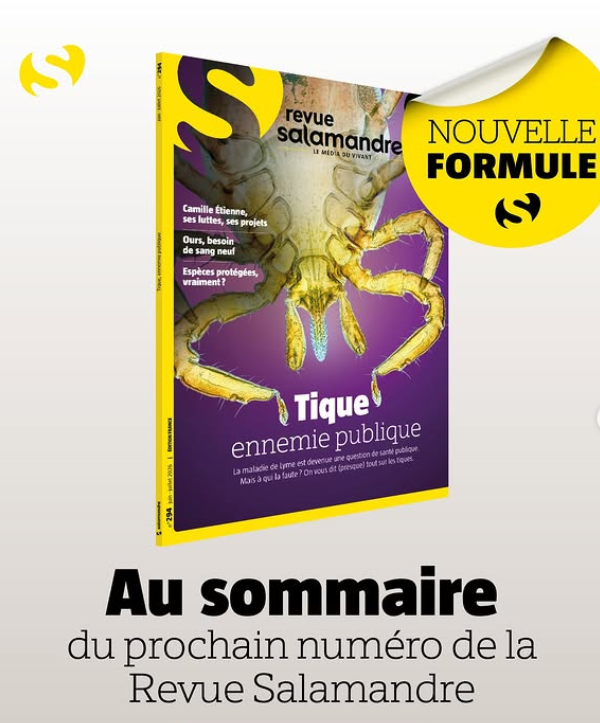 Revue Salamandre