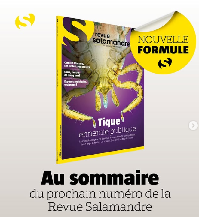 Revue Salamandre