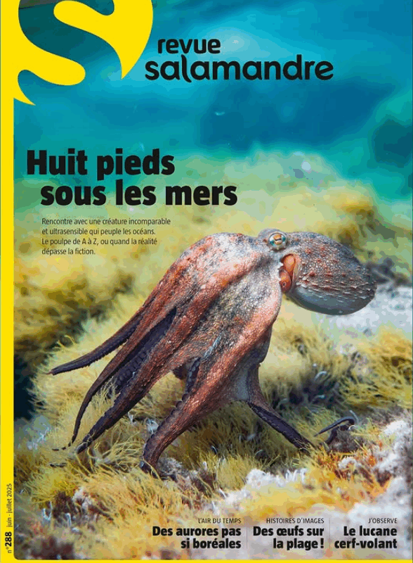 Revue Salamandre