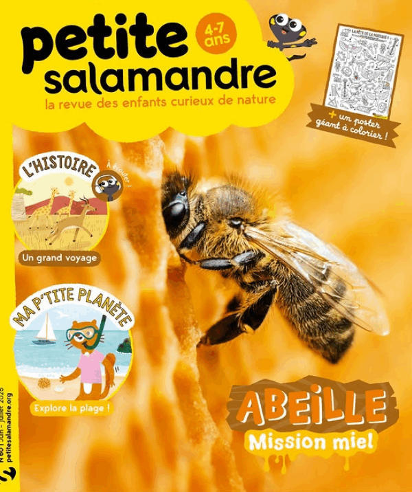Petite Salamandre (4-7 ans)