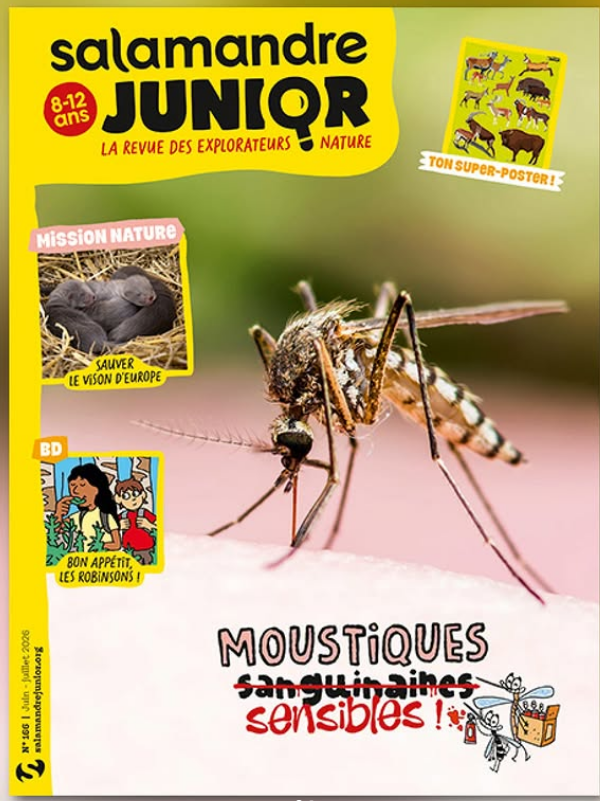 Salamandre Junior (8-12 ans)