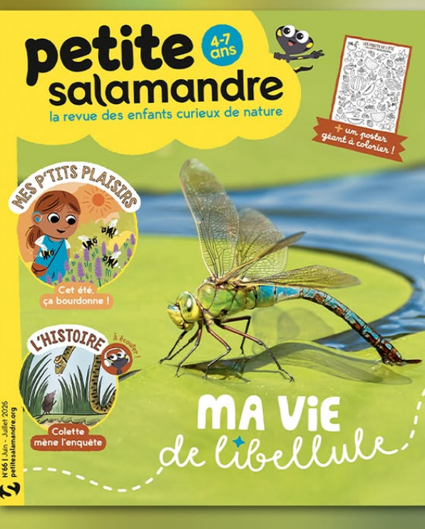 Petite Salamandre (4-7 ans)