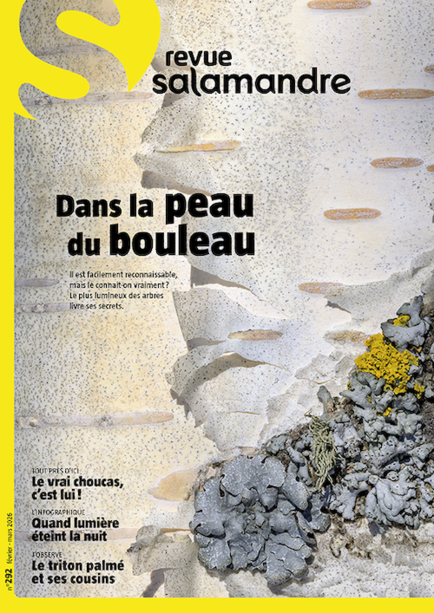 Revue Salamandre