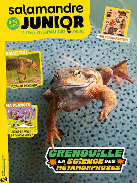 Salamandre Junior (8-12 ans)