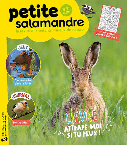Petite Salamandre (4-7 ans)