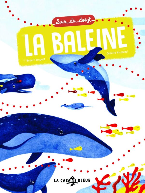 Suis du doigt la baleine