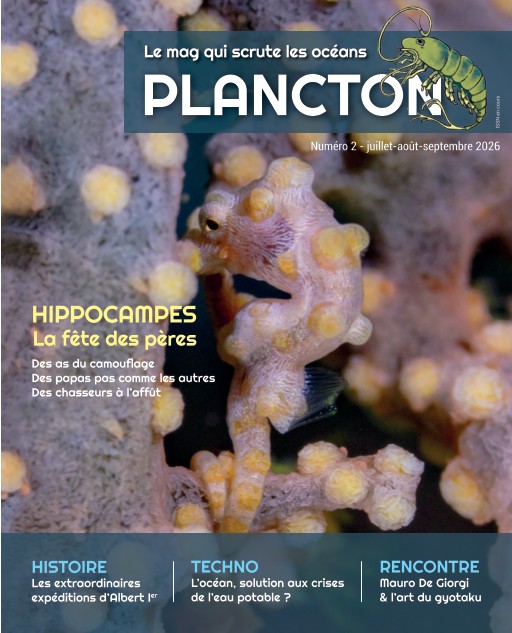 Plancton