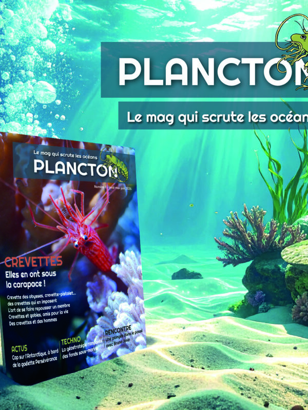 Plancton