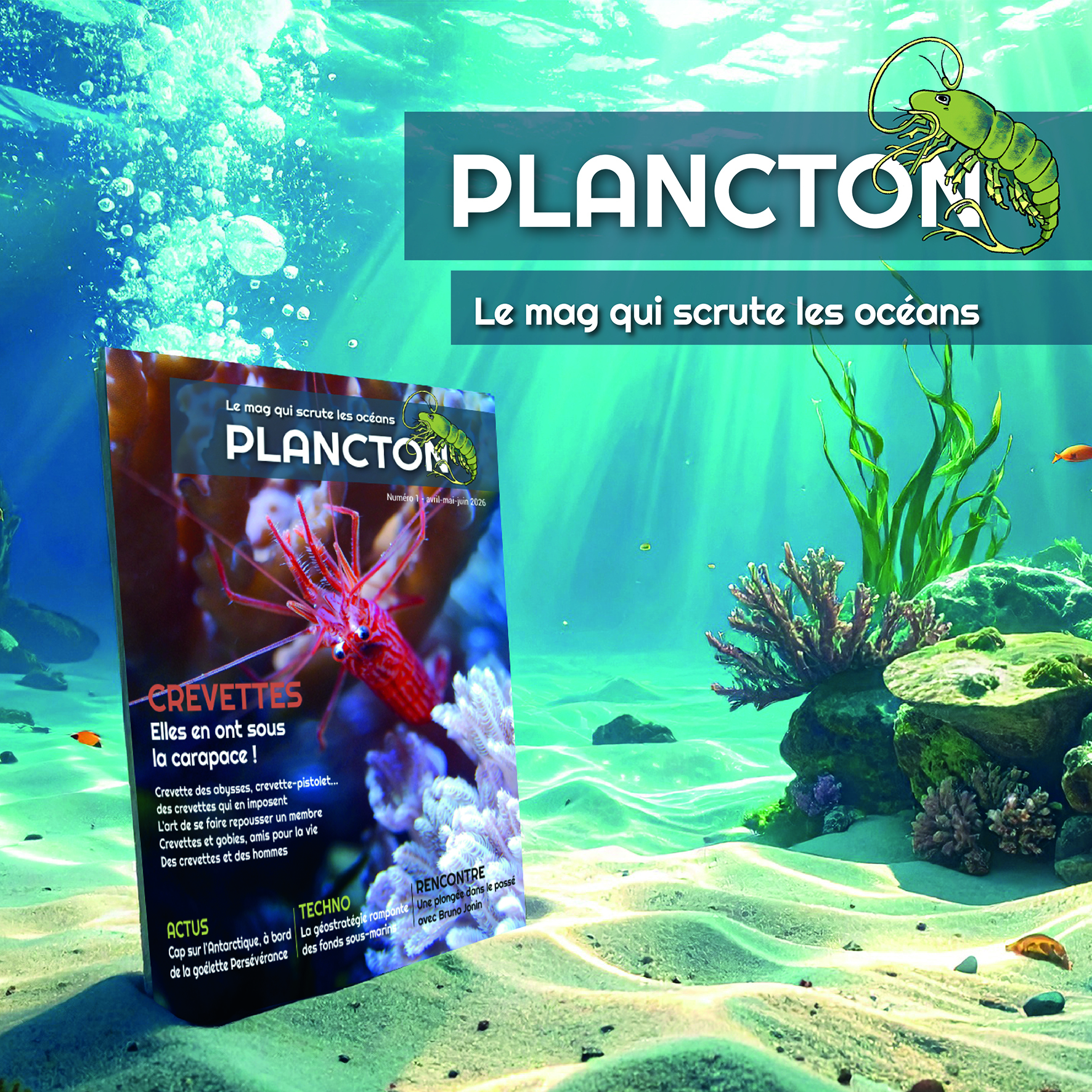 Plancton